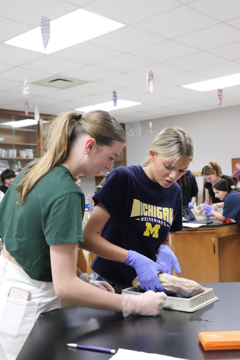 Picking up the pig, seniors Sophia Markley and Olivia Kowalski dissect a pig. On May. 1, Ms. Thomas held a pig dissection for her Anatomy class.