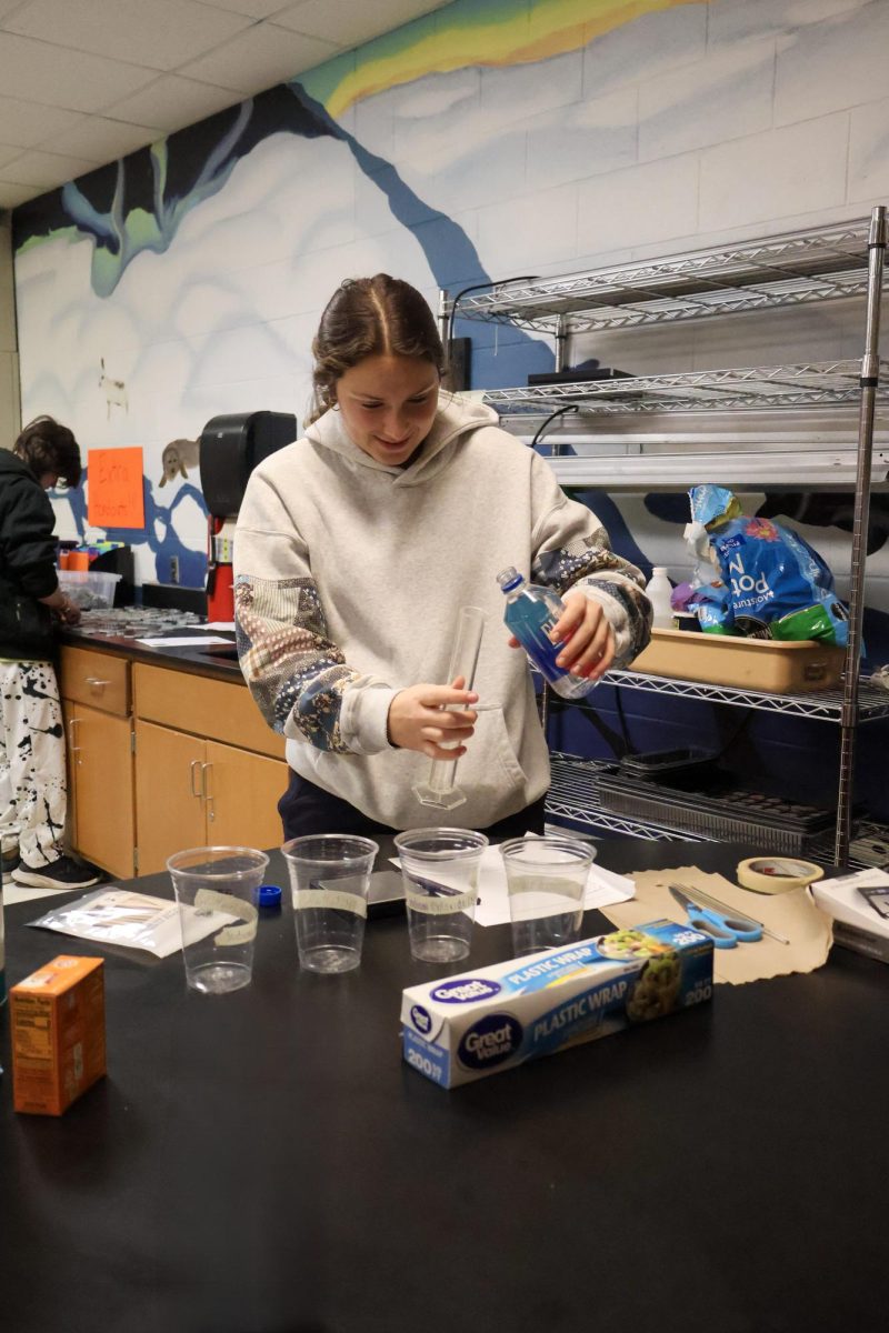 Pouring water into a test tube, senior Grace Perry completes a lab during SRT. On Jan. 13, biology teacher Kimberly Wilhite holds an SRT for IA work.
