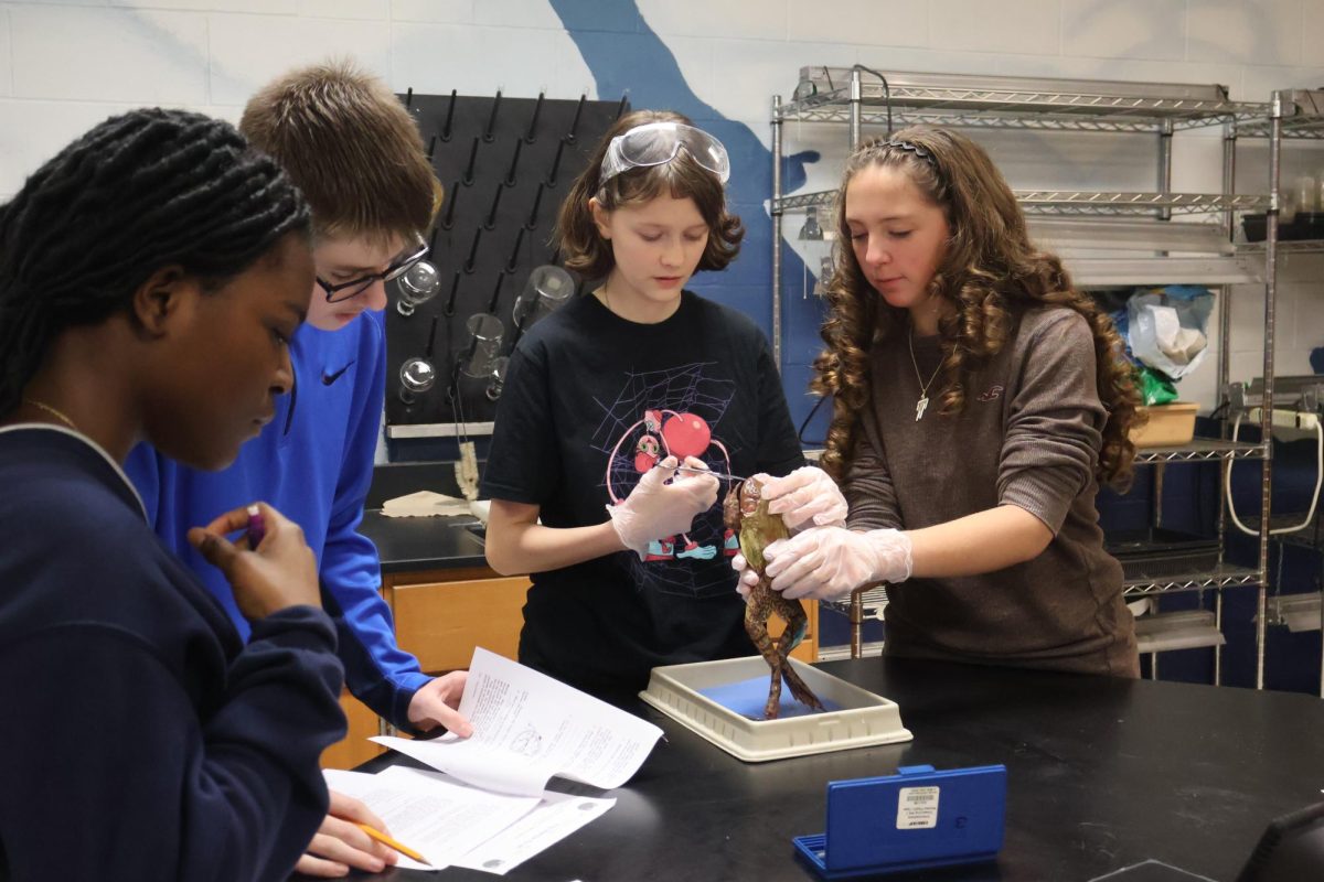 Holding the frog, freshmen Brynlee Burden and Ellary Davis start dissecting the frog's mouth. On Jan. 7, the freshmen biology class did a lab learning the animal's anatomy. 