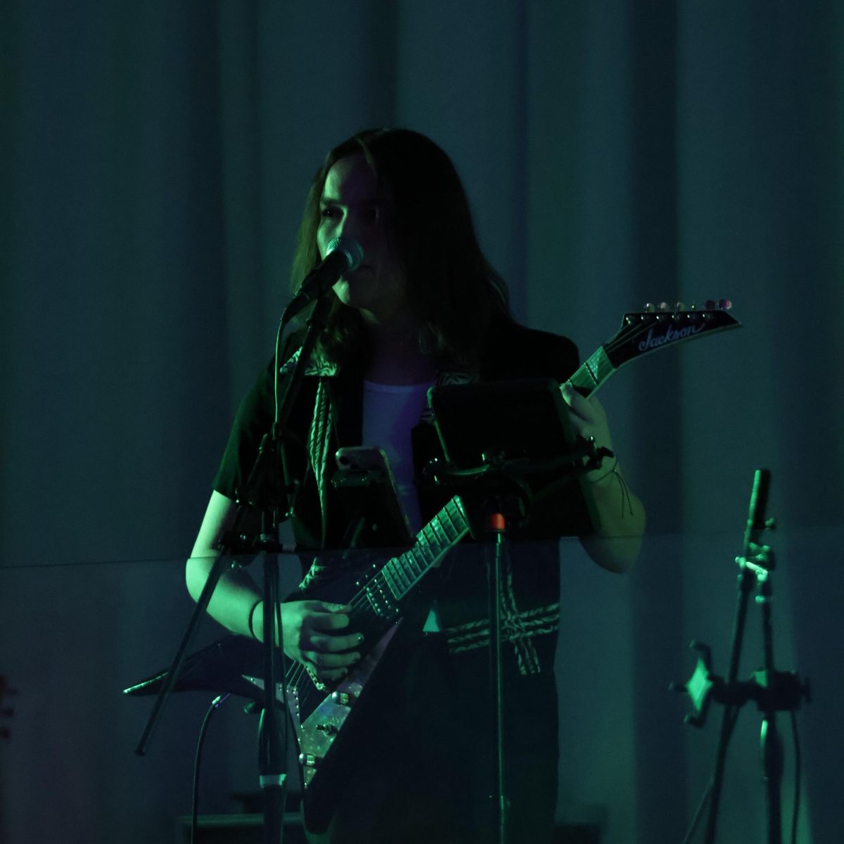 Singing and playing guitar, junior Joe Pedwaydon performs. On Jan. 24, members of the FHS marching band play in the Band Bash.