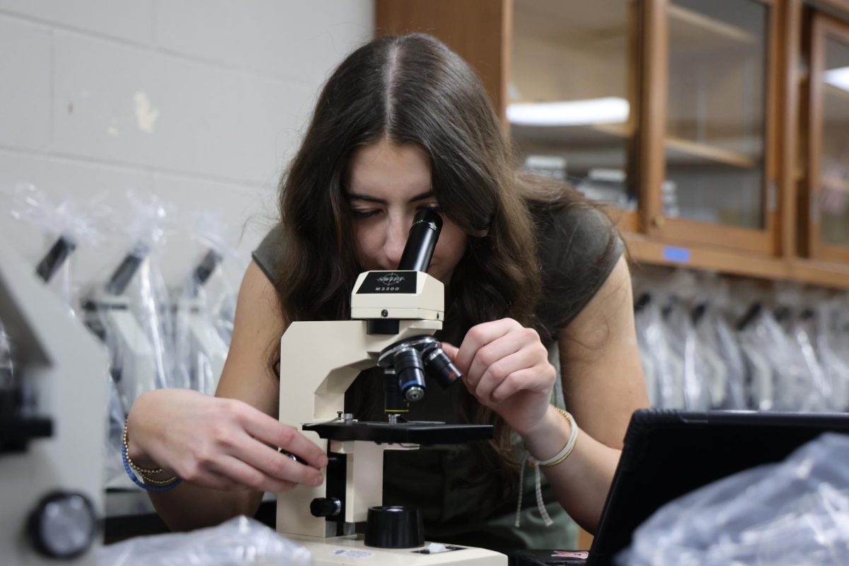 Holding a microscope, senior Karley Russell looks through the lens. On March 9, biology teacher Kimberley Wilhite’s class did a microscope lab.