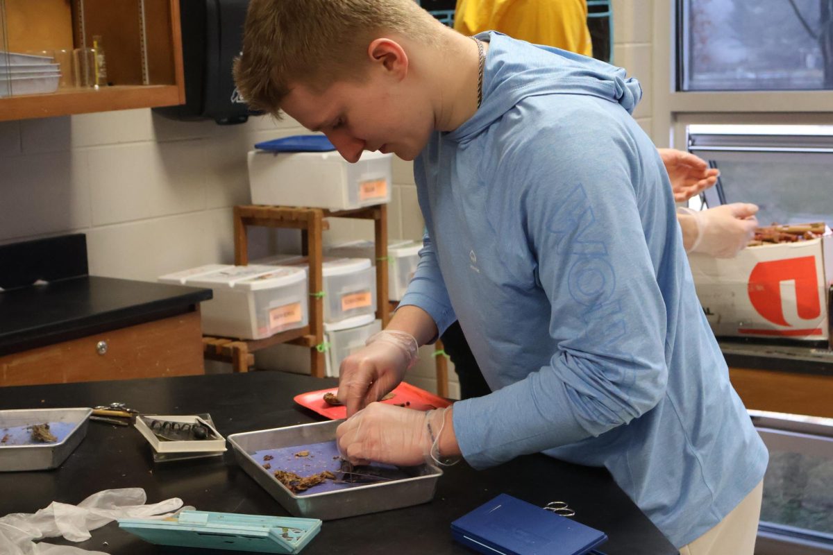Dissecting the fish, senior Ethan Hall participates in cutting the fish . On March. 5 Science teacher matthew sullivan holds a dissection contest