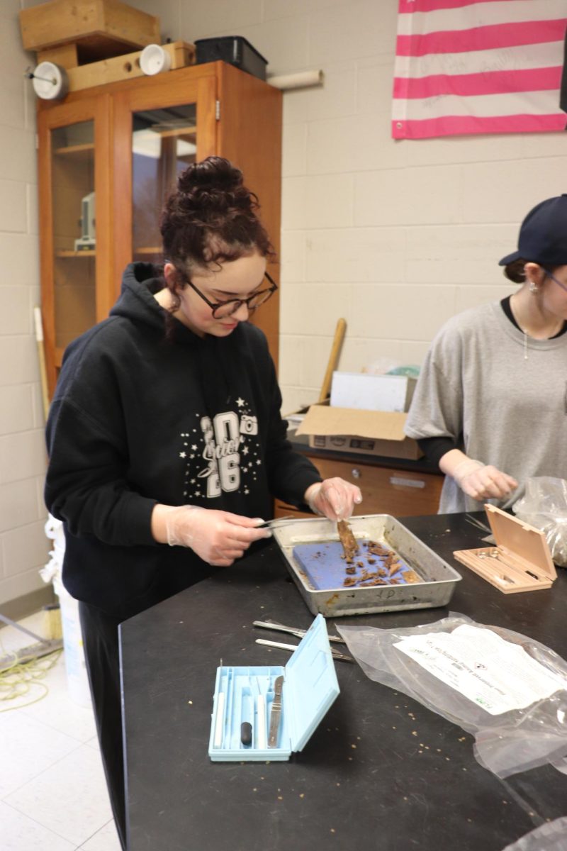 Inspecting a fish, senior Peyton Martinez dissects a fish during SRT. On Mar. 5, Mr. Sullivan held a dissection competition during SRT.
